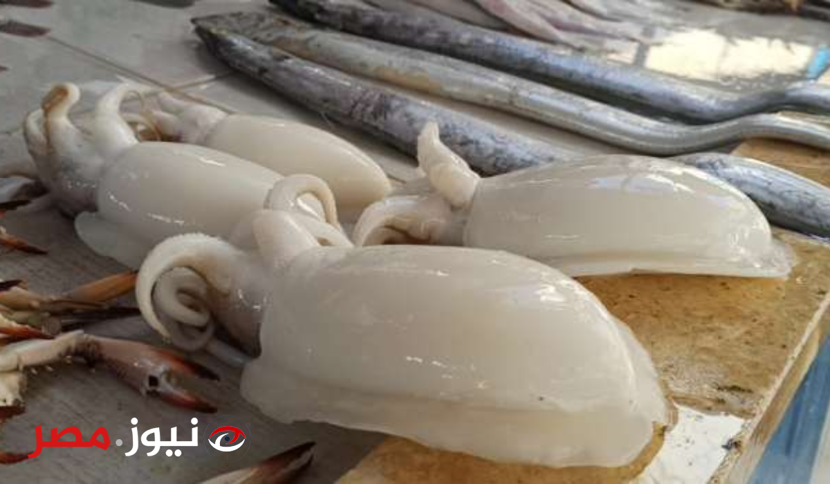 أسعار السمك في مصر