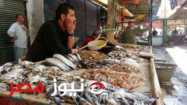 بسبب المقاطعة| البلطي يتراجع 30 جنيهًا والمكاريل  45 في أسواق القاهرة