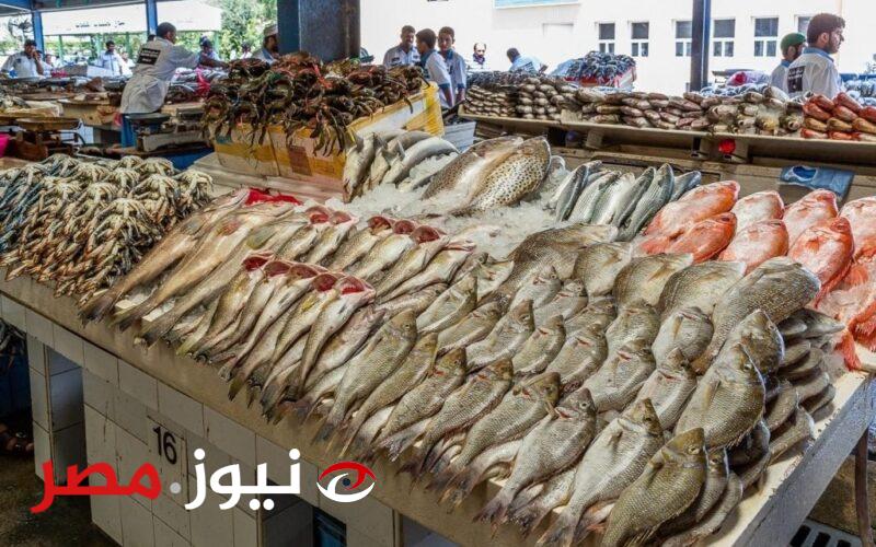 بعد تدشينها في بورسعيد.. اعرف مصير أسعار الأسماك بعد نجاح حملات خليها تعفن