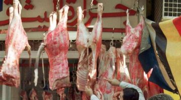 بعد نجاح مقاطعة الأسماك.. «خليها تحمض» حملة جديدة تهز أسواق اللحوم في سوهاج لمواجهة جشع التجار