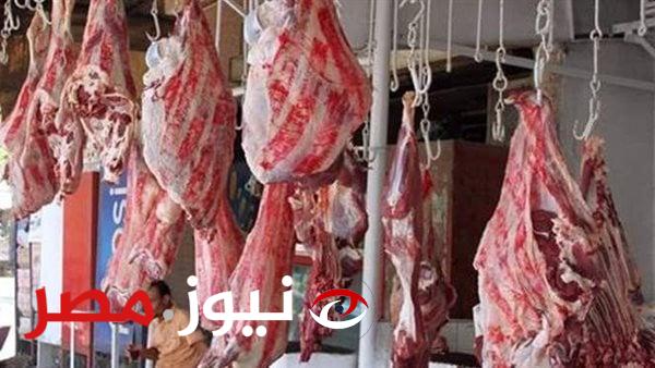 حملات مقاطعة.. مفاجأة في أسعار اللحوم الحمراء اليوم بالأسواق