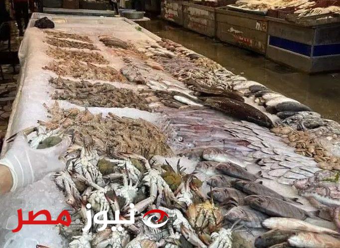 بعد تدشينها في بورسعيد.. اعرف مصير أسعار الأسماك بعد نجاح حملات “خليها تعفن”