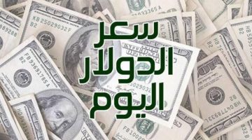 الأخضر بكام فالعيد؟.. أسعار الدولار أمام الجنيه اليوم الأربعاء 10 أبريل أول أيام عيد الفطر