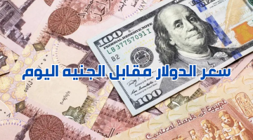 الدولار رفع تاني.. عودة ارتفاع سعر الدولار مقابل الجنيه المصري اليوم من بعد استقرار الأسعار 