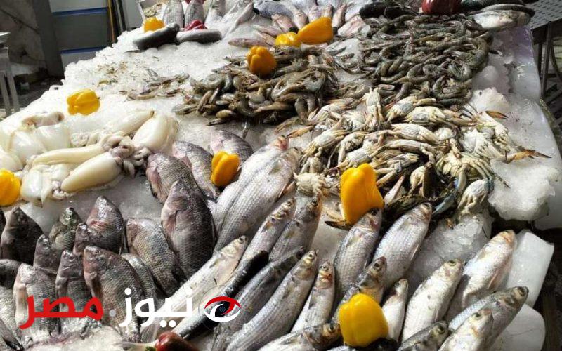 عاجل | انخفاض كبير في أسعار السمك اليوم بعد مبادرة المقاطعة في بورسعيد