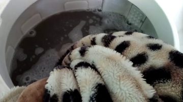فكرة جهنمية.. طريقة غسل البطاطين وتخزينها من السنة للسنة بدون أي ريحة أو كمكمة