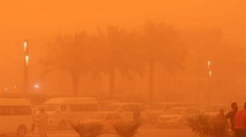هل القاهرة على موعد مع عاصفة ترابية خلال ساعات؟..الأرصاد تكشف والصحة تحذر