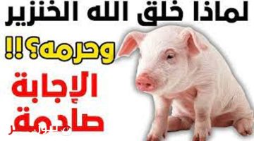 السبب هيصدمك !! .. تعرف علي أسباب تحريم أكل لحم الخنزير في الإسلام والأديان الأخري .. حقيقة أغرب من الخيال!