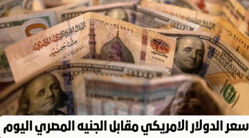 “النزول وصل لـ3 جنيه”.. مفاجأة في سعر الدولار اليوم أمام الجنيه قبل أجازة البنوك